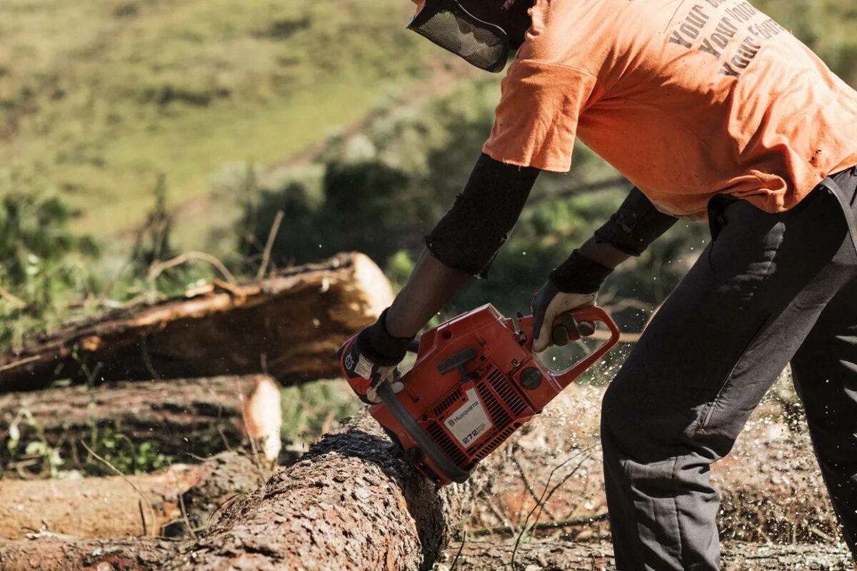Husqvarna 272xp power saw - Image 2