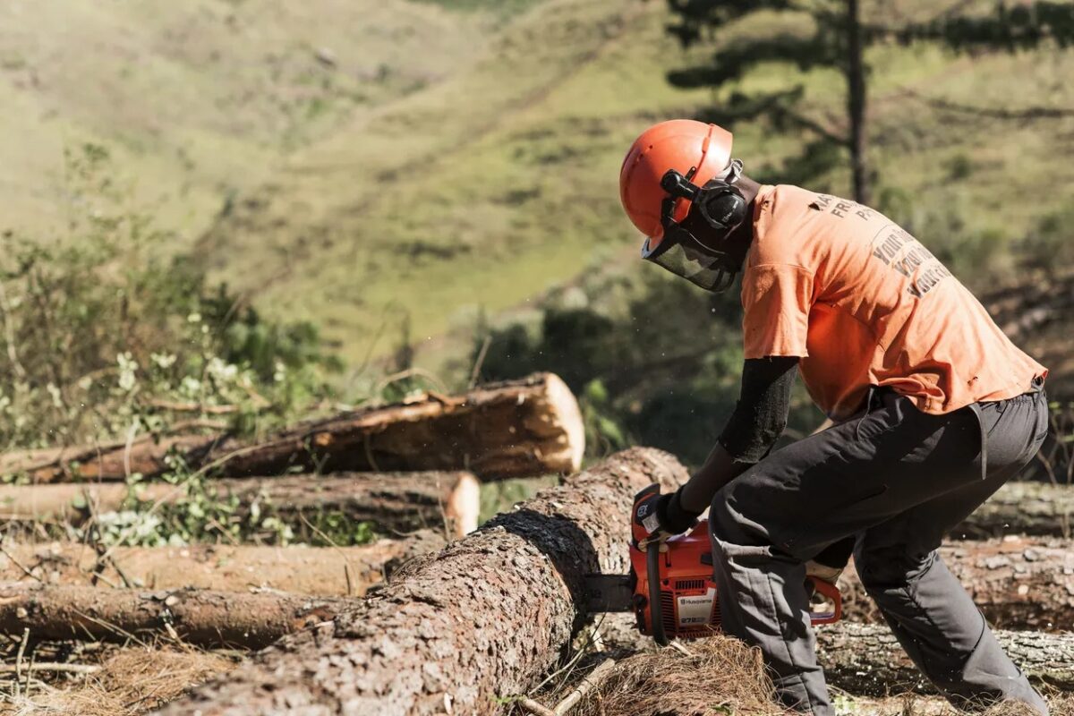 Husqvarna 272xp power saw - Image 3