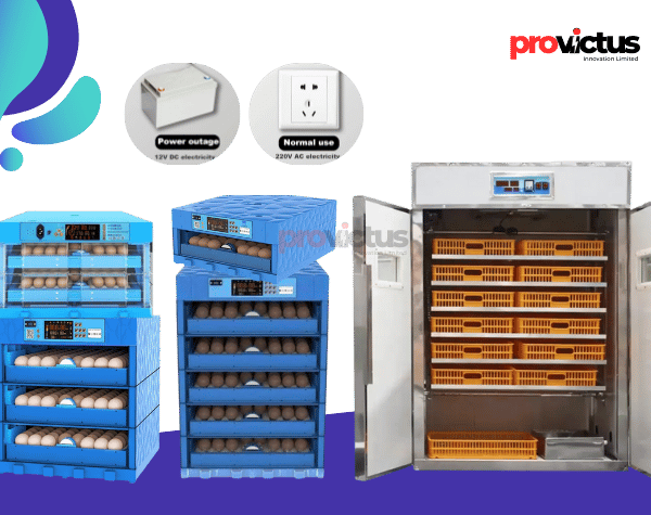 Egg Incubator