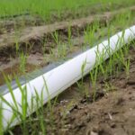 Delivery Pipes - Image 3